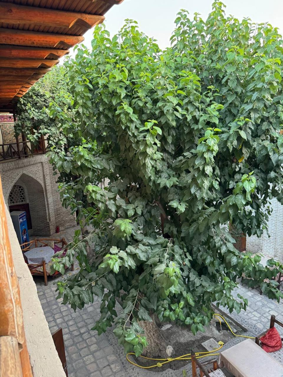 Ohun Caravan Sarai 18Th Century Old Hause Historical Unesco Heritage List 1 Minutes To Bukhara Old Town Square Est-Since 1826 For Walk In Guest Parking, Cozy Room, Best Location And Strong Wifi Exterior photo
